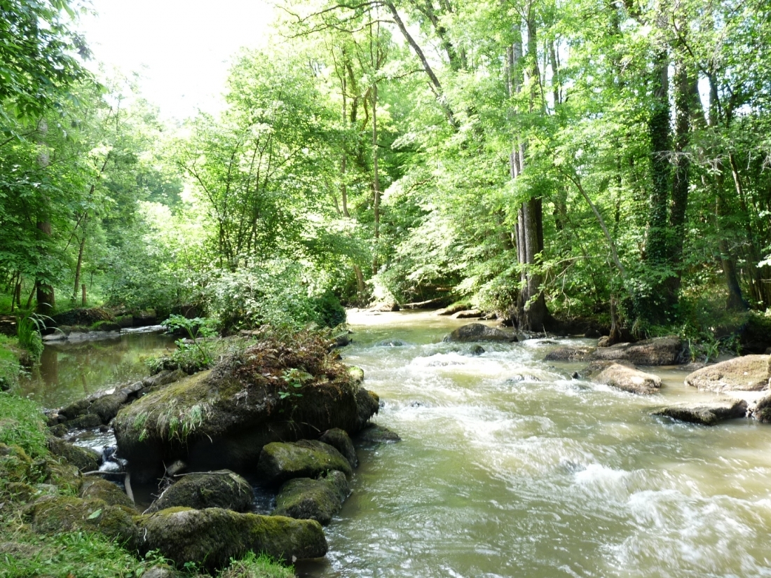 la colmont à brecé