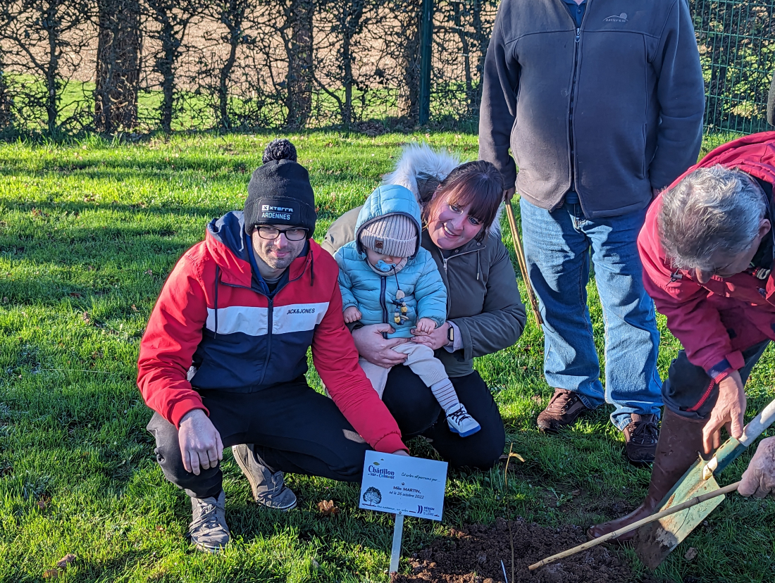 une naissance un arbre 3